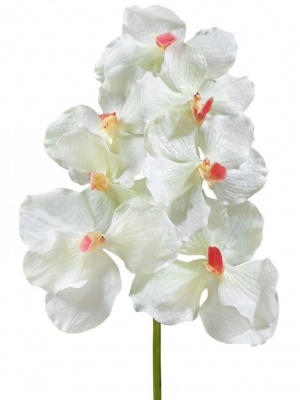 Орхидея Ванда белая с розовой сердцевинкой искусственная 30.0611083CR