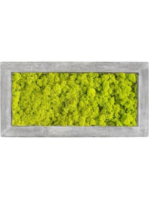 Картина из мха polystone raw grey 100% reindeer moss (spring green) L100 W50 H5 см CMSS00245