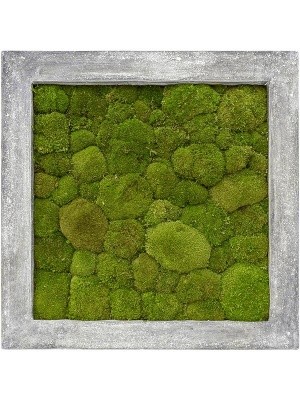 Картина из мха polystone raw grey 100% ball moss L70 W70 H5 см CMSS00236