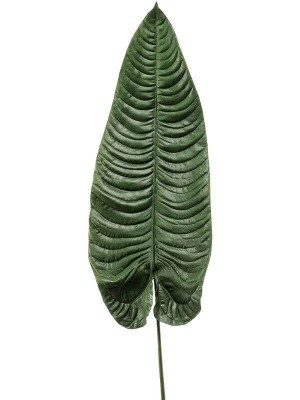 Elephant ear leaf green H105 см 8EE425944