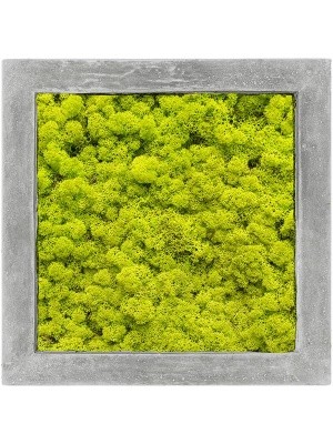 Картина из мха polystone raw grey 100% reindeer moss (spring green) L50 W50 H5 см CMSS00233