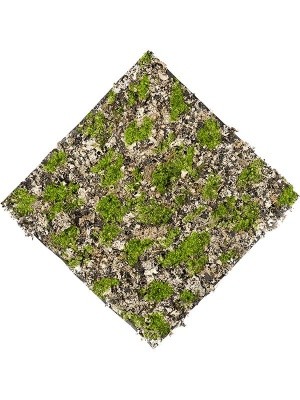 Moss dry green grey matt L50 W50 см 8EE425525