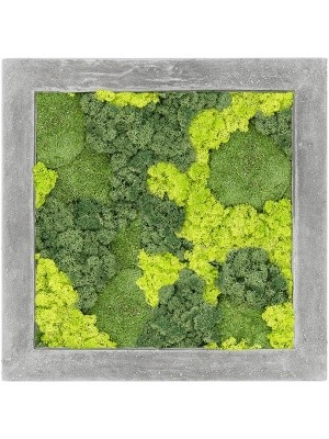 Картина из мха polystone raw grey 30% ball moss 70% reindeer moss mix) L50 W50 H5 см CMSS00235