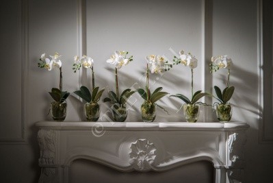 Орхидея Фаленопсис белая с землёй, корнями и мхом искусственная 10.0611066WHGL40