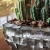 Кашпо Oceana pearl table planter rectangle brown L40 W22 H13 см 6OCETB306