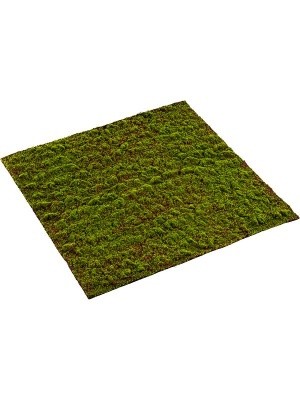 Moss grimmia matt L100 W100 см 8EE426346