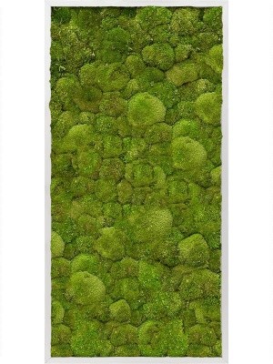 Картина из мха aluminum 100% ball moss L60 W120 H6 см CMSS00326