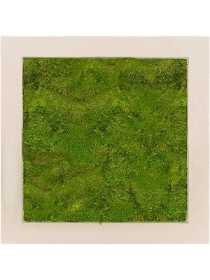 Картина из мха polystone natural 100% flat moss L50 W50 H5 см CMSS00611