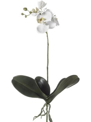 Листья орхидеи фаленопсис с корнями искусственные H55 см 8EEG20446