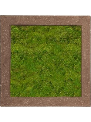 Картина из мха polystone rock 100% flat moss L70 W70 H5 см CMSS00646
