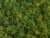 Мох Ягель зелёный микс (коврик) 20.072027N-S