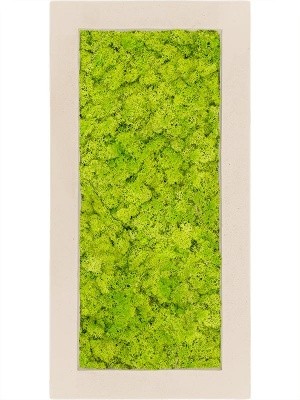 Картина из мха polystone natural 100% reindeer moss (spring green) L100 W50 H5 см CMSS00619