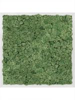 Картина из мха aluminum 100% reindeer moss (moss green) L50 W50 H6 см CMSS00360