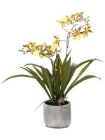 Орхидея Онцидиум желто-коричневая в горшке искусственная H45 см 8EE425587