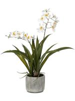 Орхидея Онцидиум белая в горшке искусственная H45 см 8EE425586