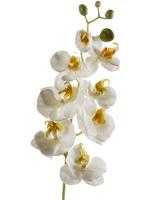 Орхидея фаленопсис ветвь белая с золотистым искусственная H68 см 8EE418530