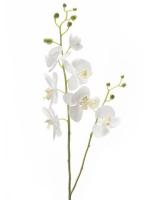 Орхидея фаленопсис двойная ветвь белая искусственная H95 см 8EEG75948