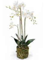 Орхидея фаленопсис белая с землёй и мхом искусственная H80 см 8NGCPHW054